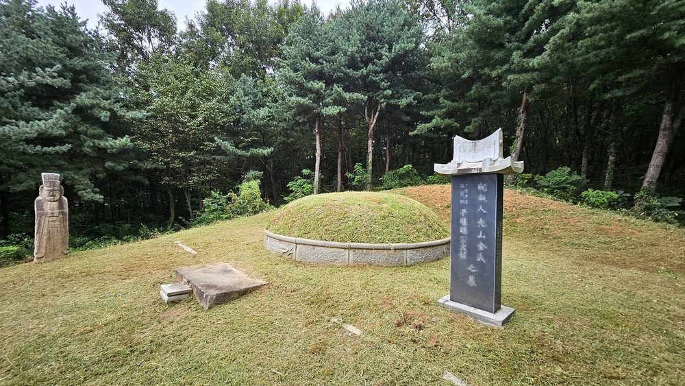 벌초를 마친 산소 전경